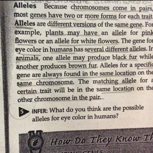 What do you think are the possible alleles for eye color in humans?