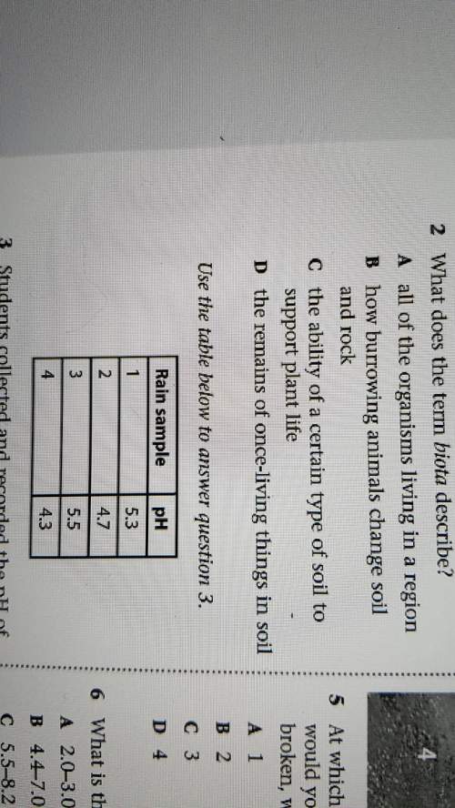 Ineed can someone plz. i'm stuck on this question
