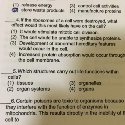 Which structures carry out life functions in a cell