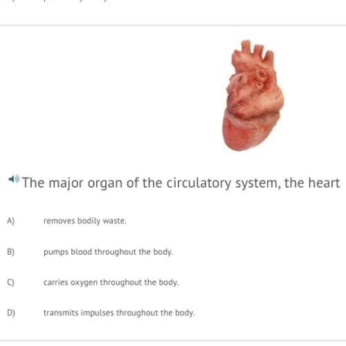 The major organ of the circulatory system, the heart a) removes bodily waste.  b) pumps