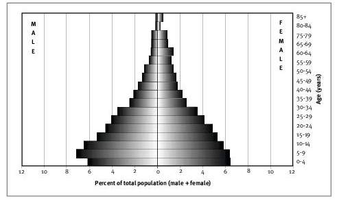 Identify what kind of population pyramid is shown below.  a. constrictive b. expan