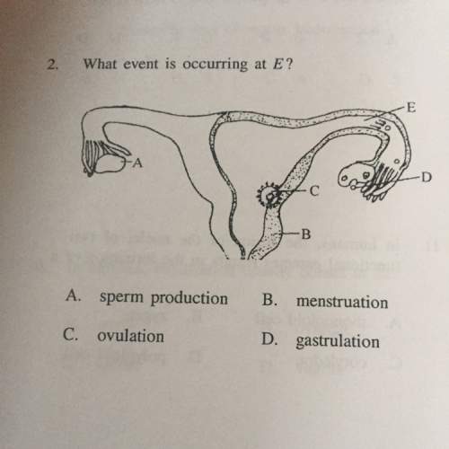 What event is occurring at e?  a. sperm production  b. menstruation c. ovula