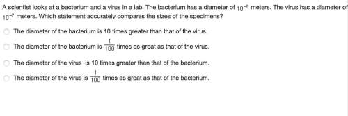 Ascientist looks at a bacterium and a virus in a lab. the bacterium has a diameter of meters. the vi