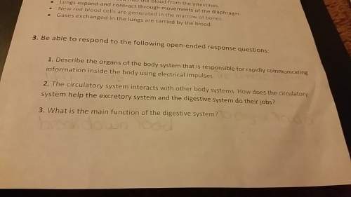 How do you describe the body system that is responsible for rapidly communicating information inside