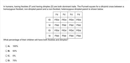 In humans, having freckles (f) and having dimples (d) are both dominant traits. the punnett square f