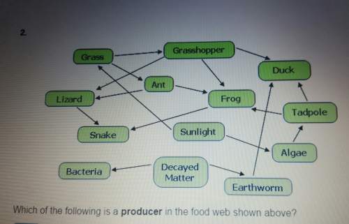 Which of the following is a producer in the food web shown above? a. grassb