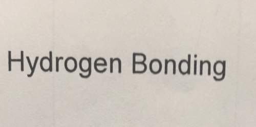 What does this mean hydrogen bonding