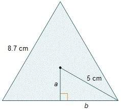 A. which statements about finding the area of the equilateral triangle are true? check all that app