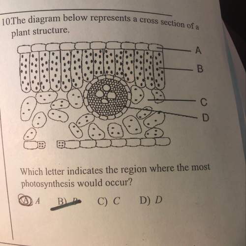 Can someone explain why the answer is b ? you!