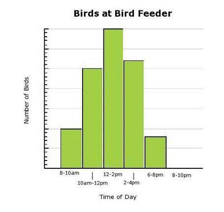Mr. roberts collected data to determine how many birds were at his bird feeder during different time