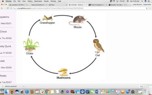 Ameadow food chain is shown.what is the role of the mouse?  a.primary consum