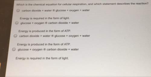 Which is the chemical equation for cellular respiration, and which statement describes the reaction?