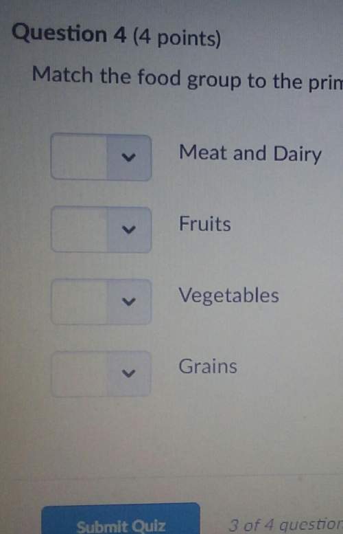 Match the food group to the primary nutrient it provides the body1: meat and dairy