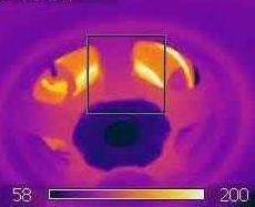 The image shows an infrared picture of a disc brake on a car after it has been driven and stopped. h
