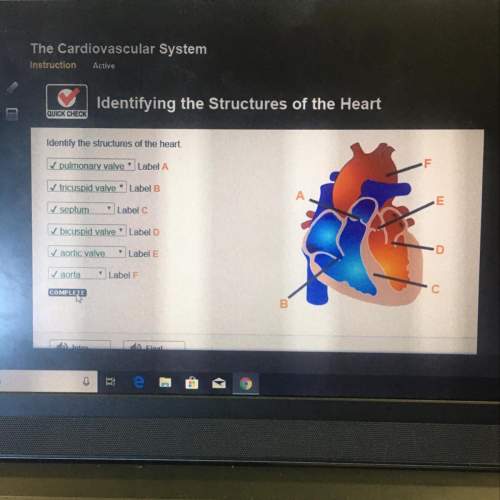 Identify the structures of the heart ✓ pulmonary valve' label a ✓ tricuspid valve