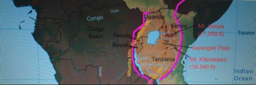 What is represented by the bright pink lines on this map?  a. great rift valley