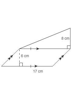What is the area of the polygon?  a. 134 cm2 b. 170