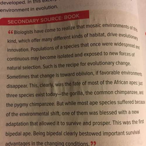 Based on this passage, how do you think the environment contributed to the development of hominins a