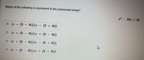 Which of the following is equivalent to the polynomial below