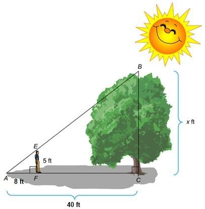 1. the diagram shows 5 ft student standing near a tree. the shadow of the student and the shadow of