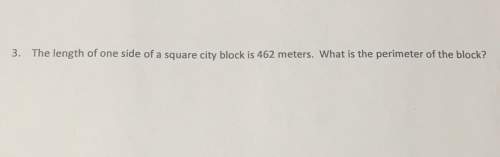 3. the length of one side sofa square city block is 462 meters what is the perimeter of the block