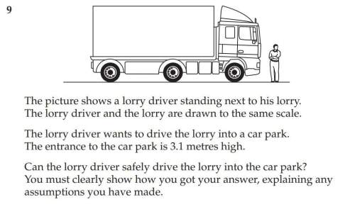 The picture shows a lorry driver standing next to his lorry. the lorry driver and the lorry ar
