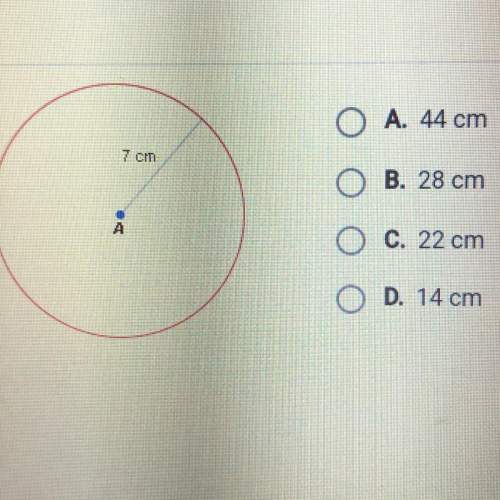What is the approximate circumference of the circle shown below
