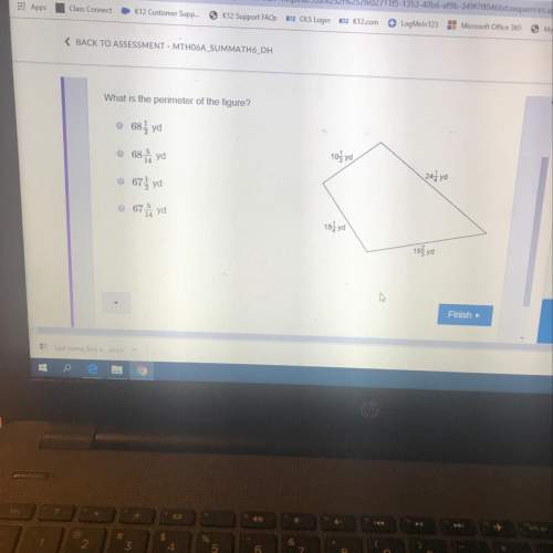 What is the perimeter of the figure