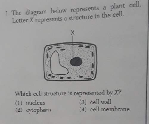 The diagram below represents a plan cell letter x represents a structure in the cell