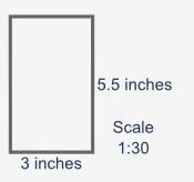 What is the area of the actual living room in square feet? round your answer to the nearest whole n