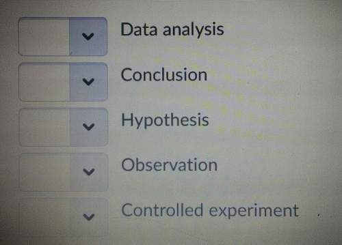 Place the steps of the scientific method in order.