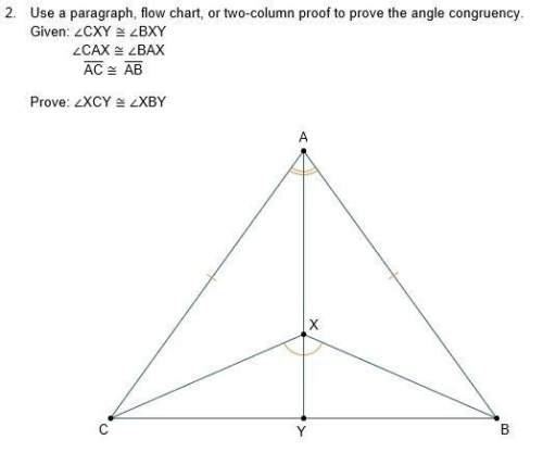 Use a paragraph, flow chart, or two-column proof to prove the angle congruency.  can som