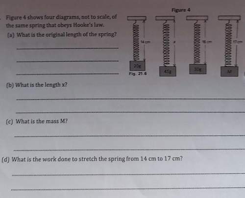 Can someone pls explain how to answer these