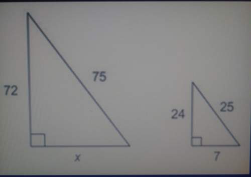 The triangles are similar. what is the value of x?
