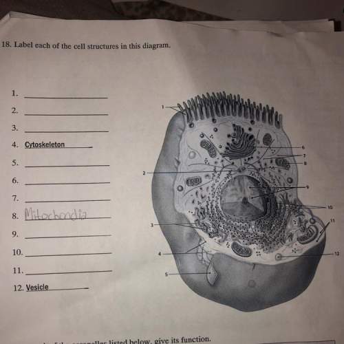 How can i label the diagram and know if it is a plant or animal cell?