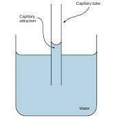 Which of the following gives water its cohesive properties? And explain why.

b. Water’s polarity ma