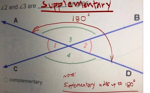 <2 and <3 are ____ angles

complementary 
vertical
congruent
supplementary