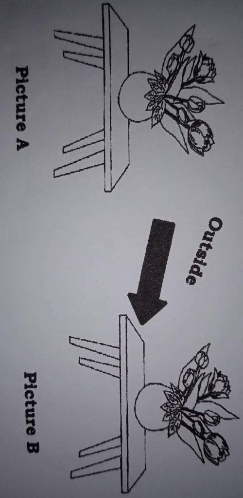 which picture shows that the object is at rest?what picture shows that the object is in motion?what