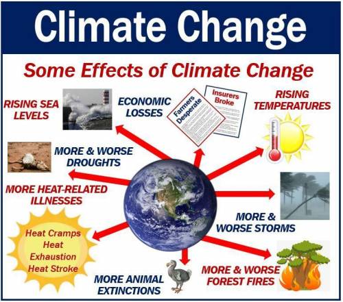 Refer to the NASA article Responding to Climate Change. Which statement best describes the author'