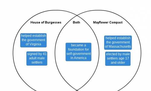 Determine whether each description applies to the House of Burgesses, the Mayflower Compact, or both