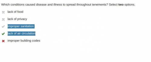 Which conditions caused disease and illness to spread throughout tenements? Select two options.

lac