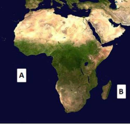 On the map above, what is the body of water labeled B?

A.
the Atlantic Ocean
B.
the Indian Ocean
C.