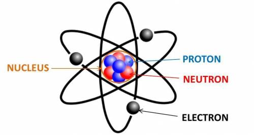 What is meant by the statement Atoms are electrically neutral?