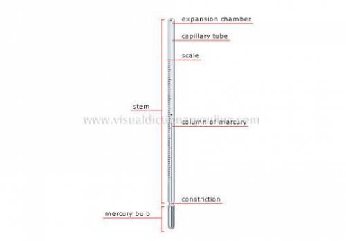 List parts of a thermometer