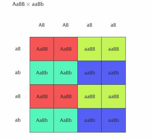 Assume that plant height is determined by a pair of alleles at each of two loci (A and a, B and b) t