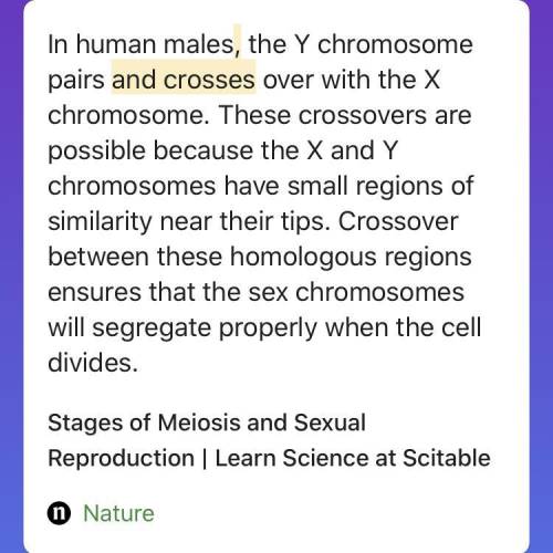 Why is synapsis (crossing over) important for the process of meiosis and sexual reproduction?