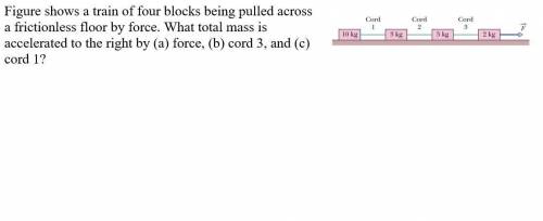 frictionless floor by force . What total mass is accelerated to the right by (a) force , (b) cord 3,