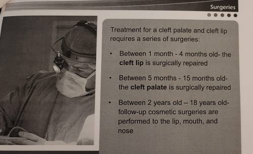 Select the correct answer.

Which of the following surgeries is performed first to treat cleft palat