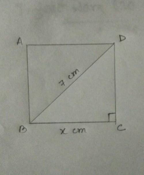 Solve the following:

Find the side and perimeter of a square whosediagonal is 7 cm. (please write t