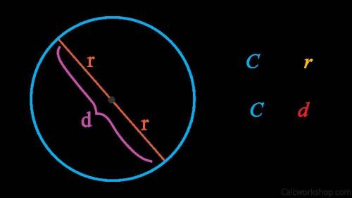 Which formula should be used to find the circumference of a circle?

C= 20
C-20
C-31
СС